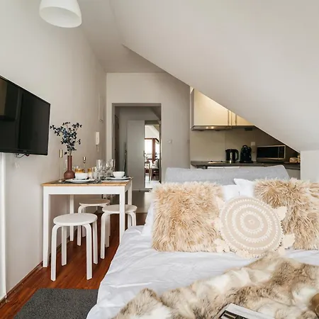 Apartment Brzozova - Loftaffair Zakopane